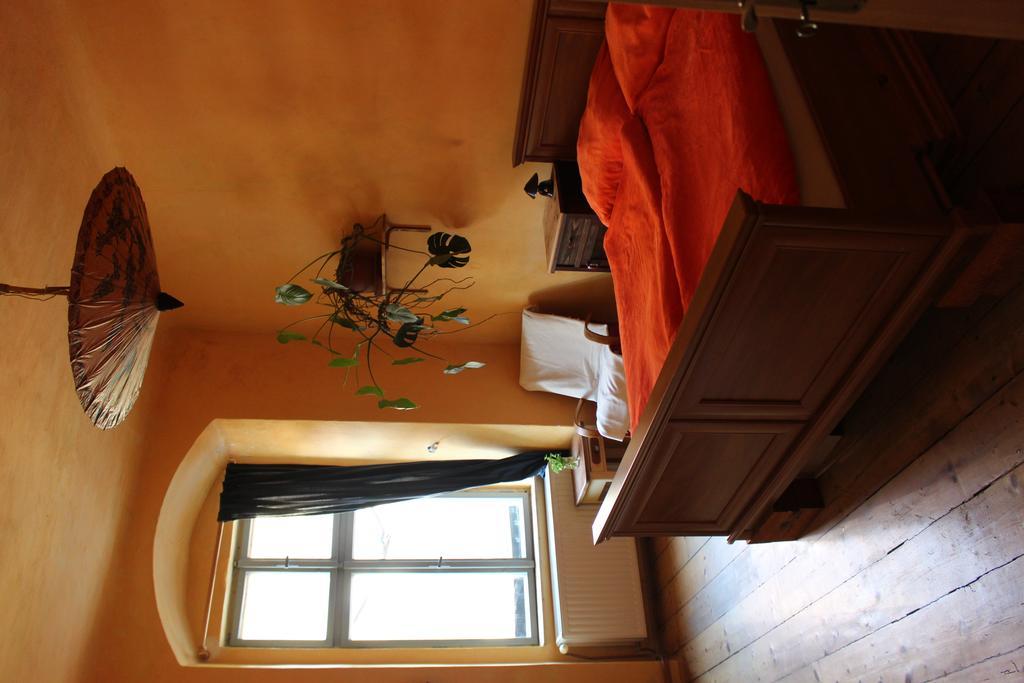 Lazy River Hostel Loket Extérieur photo